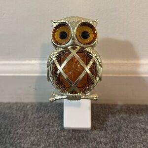 Owl Wallflower Plug